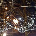 Ein Lichtervorhang im Hoflößnitz